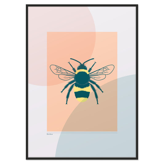 Bombus